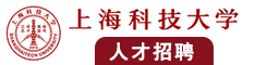 猛男插入女人阴道视频